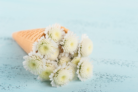 Bouquet of chrysanthemum flowers in ice cream cone on blue pastel background. Spring, summer floral concept with copy space.の写真素材