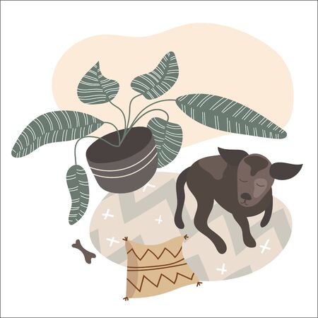 Vector illustration of Scandinavian living room interior with carpet and house plant in pot, dog laying on floor. Cozy modern apartment in nordic hygge styleのイラスト素材