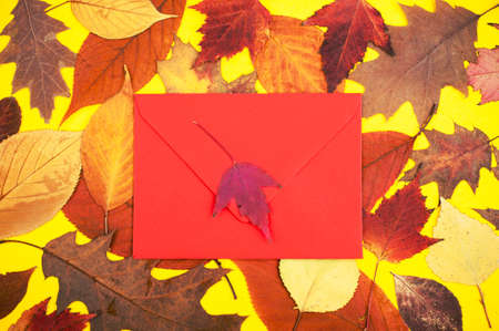 Multicolored maple and oak leaves with red envelope on yellow background flat lay. Colorful autumn setの写真素材