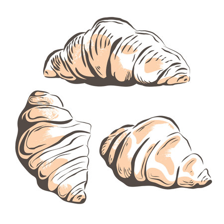 Vector Illustration of Hand Drawn sketch of Croissants on white background. Scratch board style imitation. Brown and white ink imageのイラスト素材