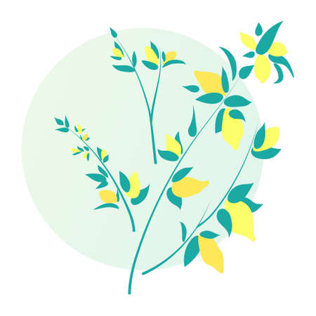 Lemon branch, vector illustration isolated on white background. Hand drawn citrus fruits with leavesのイラスト素材