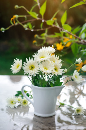 White chrysanthemum in vase on wet marble table in garden. Rainy day outdoorの写真素材