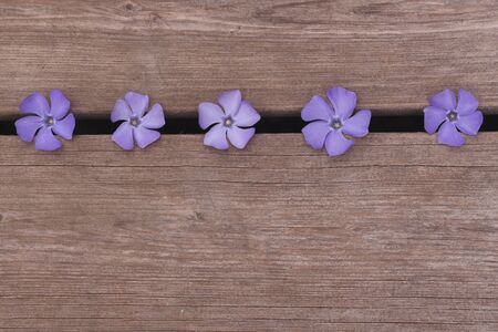Small blue flowers on a rustic wooden background. Top view, copy space.の写真素材