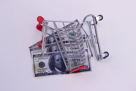 a shopping trolley with banknotes lies on its side. Concept of big waste of money or business ruin.の写真素材