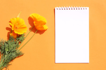 Orange flowers and a blank notebook on an orange background. Top view, copy space.