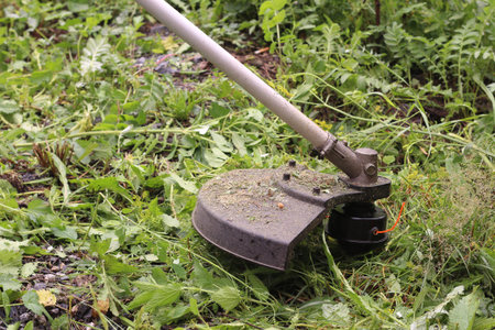 Trimmer close-up mows the grass. Summer garden care concept.