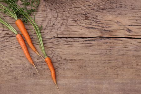 young carrots with green tops on an old wooden background