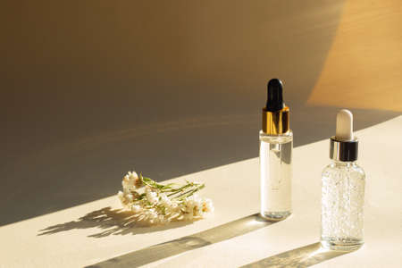 Transparent dropper bottles and flowers. Serum or essential oil with herbal extract. Skin care concept. Natural hard light, deep shadows.の写真素材