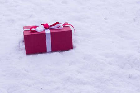 red gift box lies on white snowの写真素材