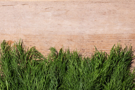 Fresh dill on a wooden table, top view. Place for text,の写真素材