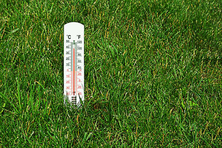 Thermometer on the grass. An air temperature of 40 degrees is shown by a thermometer. Summer heat. Copy space.の写真素材