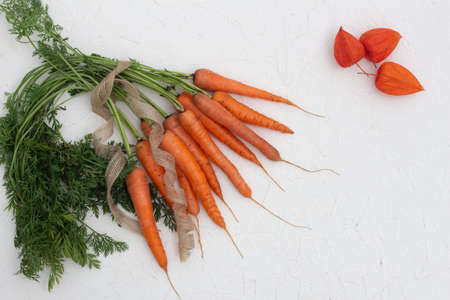 A bunch of carrots with greens, lying on a rustic white background with place for text.の写真素材