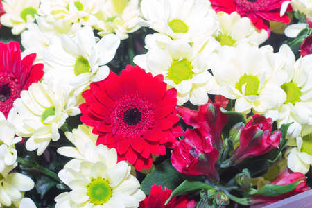 Wedding bouquet close up. Decoration of chrysanthemums, gerberas and ornamental plants, close up, selective focus.の写真素材