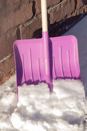 A snow shovel stands in the snow. Lilac shovel with a wooden handle.の写真素材