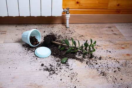 The flower pot fell to the floor. The earth is scattered across the floor.の写真素材