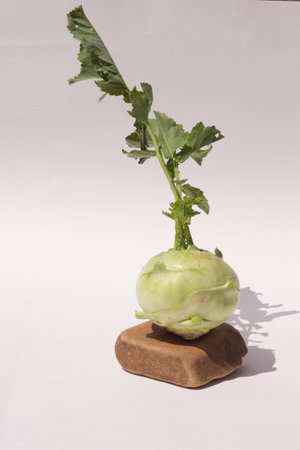Kohlrabi cabbage with foliage close up on stone.
