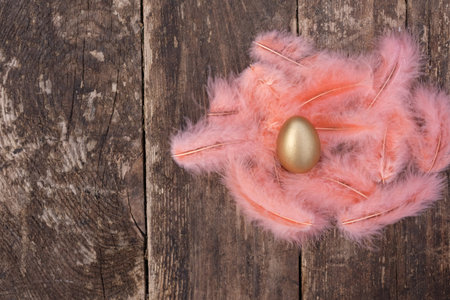One beautiful golden egg in fluffy feathers on an old wooden background. Place for an inscription.