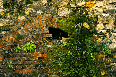 The collapsing stone arch is laid with bricks to protect against the destruction of the building. Green shoots make their way through the stone.の写真素材
