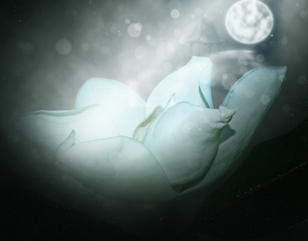 The lotus flower at the foot of the pagoda in the dark is illuminated by the moonlightの写真素材