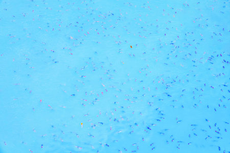Blue water with small red fish fry in sea.
