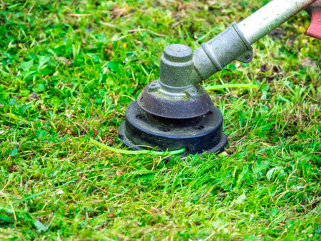 Trimmer cutting green grass closup in garden