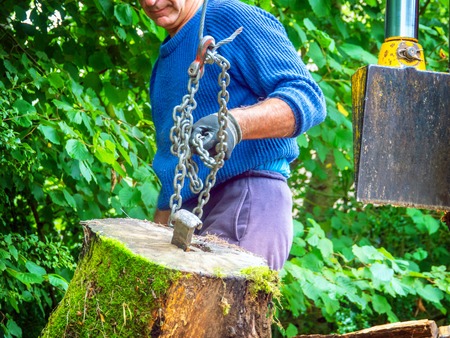 A worker moves a large log to a chain for splitting in a machine. Fire wood and log splitter hydraulic machineの写真素材