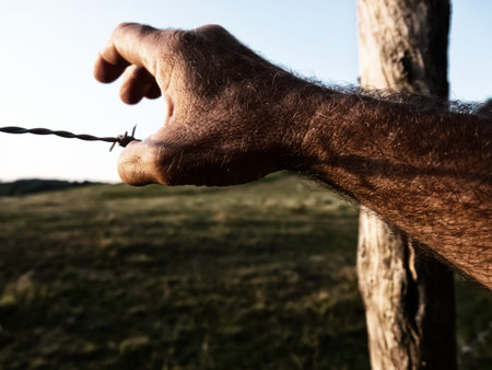 Hand on the barbed wire against the blue sky. The concept of freedom and prison.