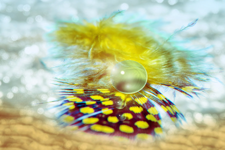 Yellow feather with transparent round drops on the background of water and sand. Copy space. Relaxing concept.の写真素材