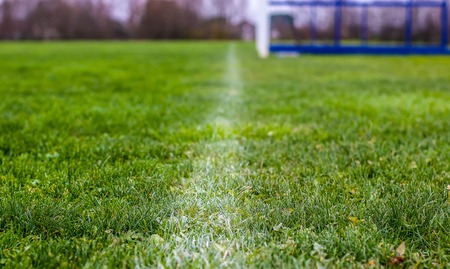 Fragment of a soccer field with a white line on the green grass. Focus selective.の写真素材
