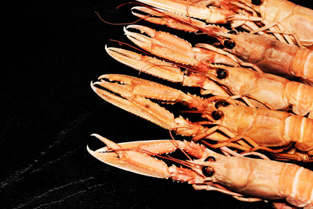 cooked Langoustines ,Nephrops norvegicus, Dublin Bay Prawn or Norway Lobsters on black slate