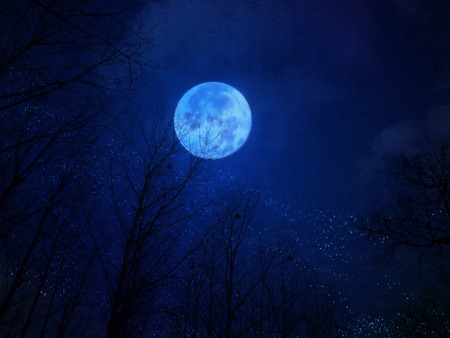 The mystical landscape of the night sky with a full moon and silhouettes of trees.の写真素材