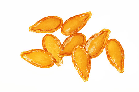 Pumpkin seeds close up isolated on white background
