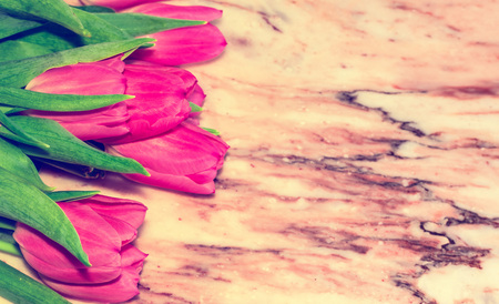 A tulip flowers with a stem and leaves on a marble stone surface. Top view. Flat lay. Copy spice.の写真素材