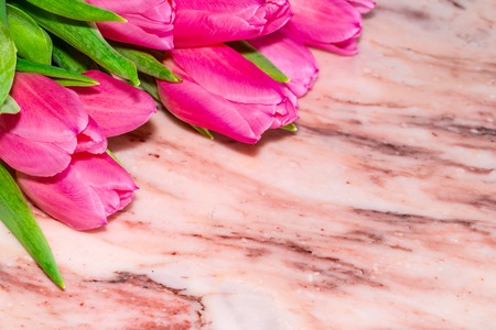 A tulip flowers with a stem and leaves on a marble stone surface. Copy spice.の写真素材
