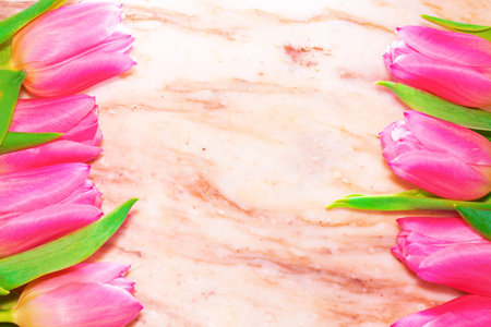 A tulip flowers with a stem and leaves on a marble stone surface. Top view. Flat lay. Copy spice.の写真素材