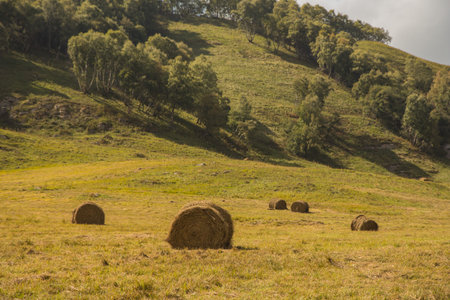 Beautiful landscape with wheat  straw bales in the autumn in mountains