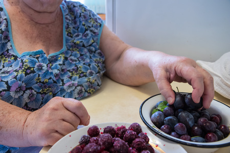 Senior lady with plate of fruits. Ingredients for dumpling, varenikiの写真素材