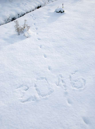 2016 and cat's footprints on the snowの写真素材