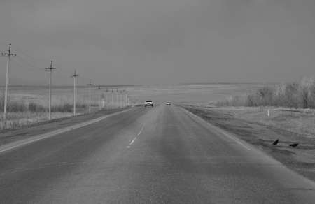 Empty road in the distance in the steppeの写真素材