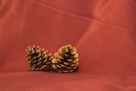 Two pine cones on the red textileの写真素材