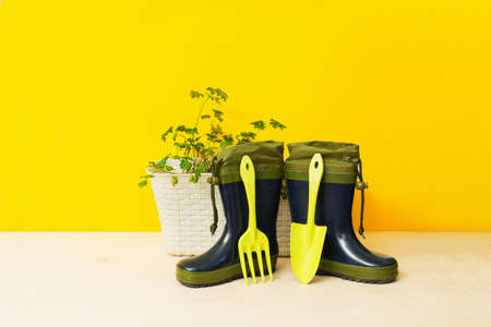Green rubber boots and a set of gardening tools. Transplant scoop, loosening forkの写真素材