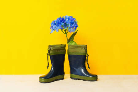 Green rubber boots and beautiful flowers on a yellow backgroundの写真素材