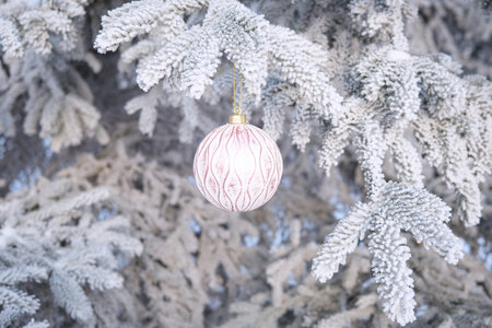Christmas decorations on the branches of a fir-tree in the snowの写真素材