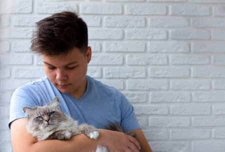 Cat and man, portrait of happy cat with close eyes and young man, people playing with the kitten. Handsome Young Animal-Lover Man, Hugging and Cuddling his Gray Domestic Cat Pet.の写真素材