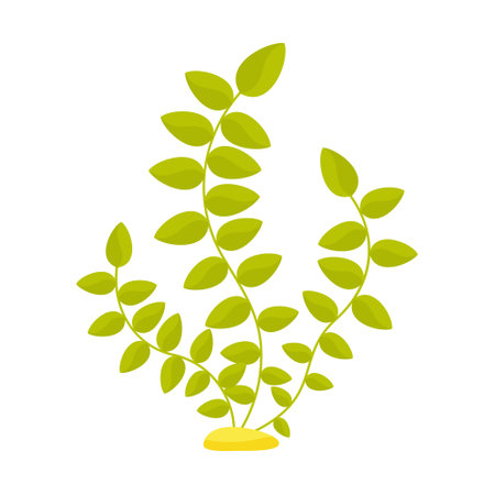 Vector illustration. Underwater seaweed cartoon clipart. isolated object.のイラスト素材