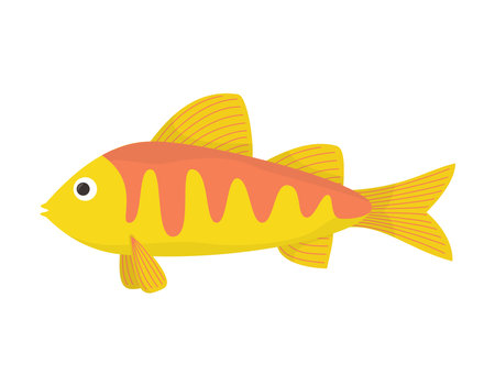 vector illustration. Isolated cute sea fish in cartoon style. icon.のイラスト素材