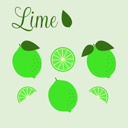 Vector illustration. Lime collection in a flat styleのイラスト素材