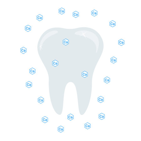 Tooth, mineral, calcium. Dentistry. Vector illustration can be used for topics such as health, nutrition, vitamins.のイラスト素材