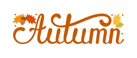 Vector illustration. Autumn lettering isolated on white background. Hand drawn lettering text.のイラスト素材