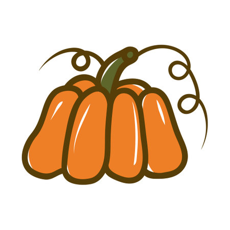 Orange pumpkin vector illustration. Autumn halloween pumpkin, vegetable graphic icon or print, isolated on white background.のイラスト素材
